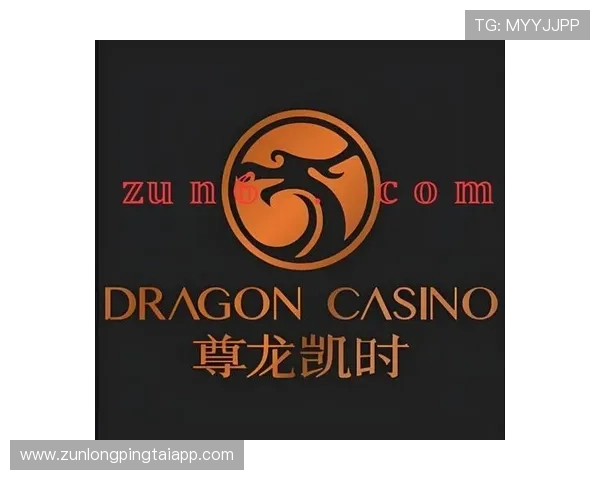 尊龙凯官方网站入口：官方入口的详细操作流程与注意事项