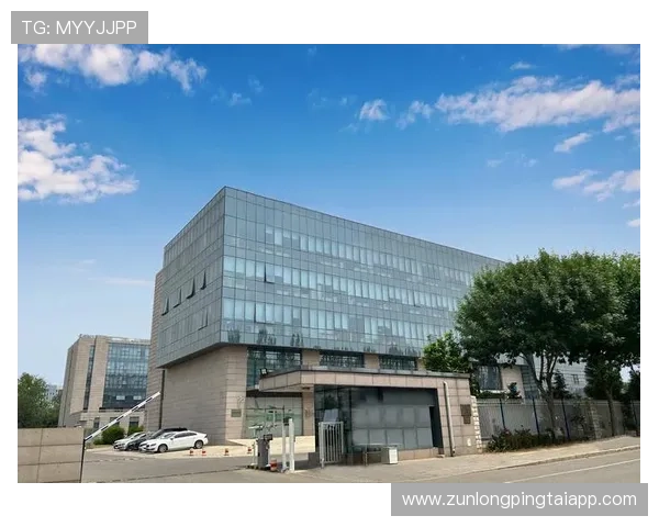 尊龙凯时官方平台直营提供专业的技术支持团队,确保平台稳定运行与快速响应 尊龙凯时官方平台直营提供专业的技术支持团队,确保平台稳定运行与快速响应